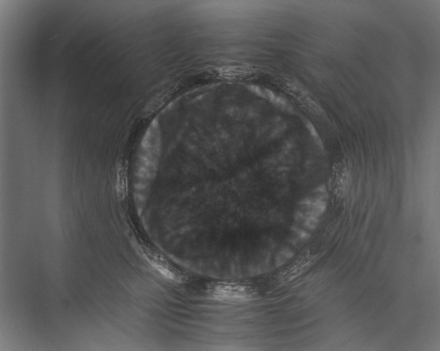 X0000075360471200610061751