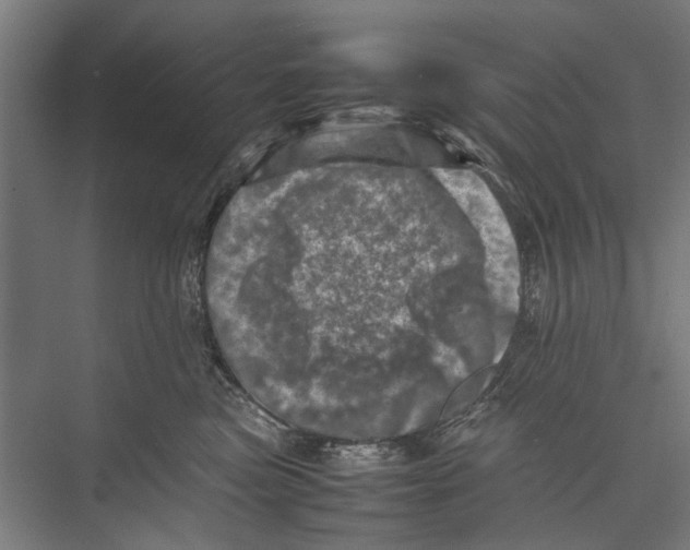 X0000075360473200610061751