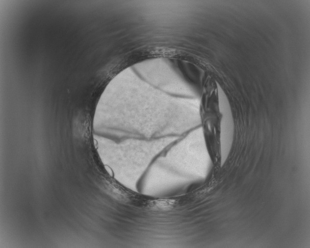 X0000075360474200610061751