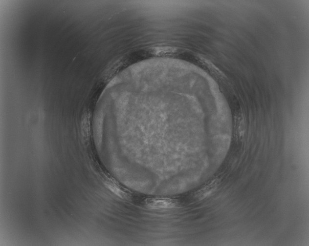 X0000075360475200610061751