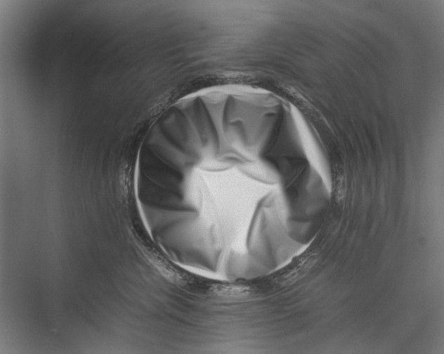 X0000075360476200610061751