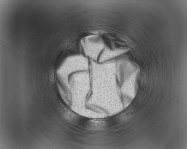 X0000075360477200610061751