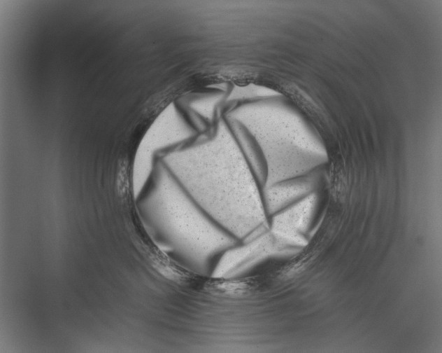 X0000075360478200610061751