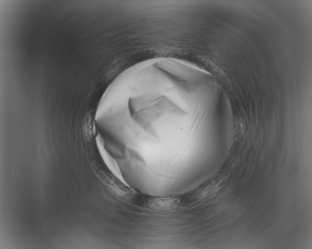 X0000075360479200610061751