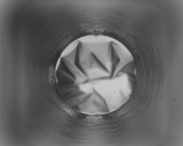 X0000075360480200610061751