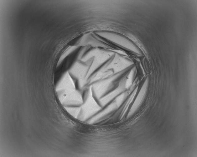 X0000075360481200610061751