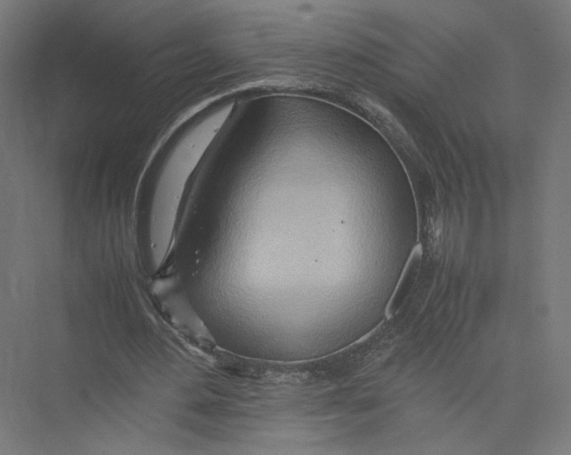 X0000075360484200610061751