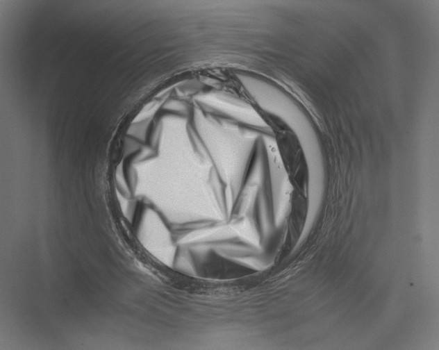 X0000075360485200610061751