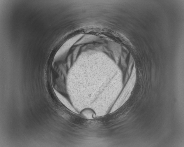 X0000075360487200610061750