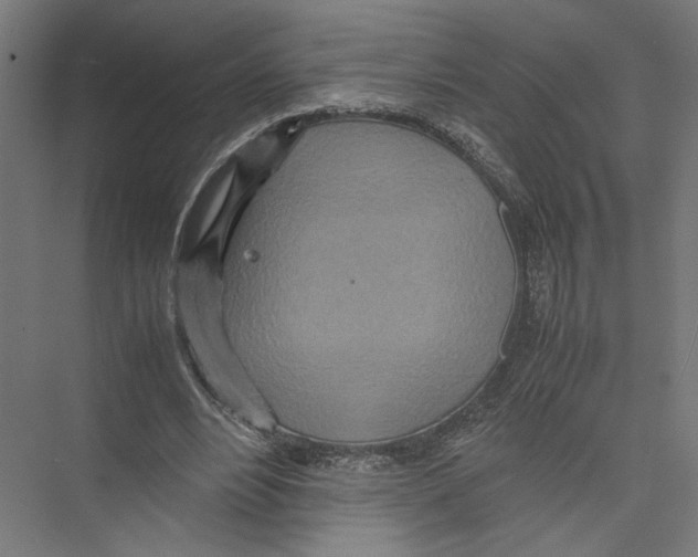 X0000075360488200610061750