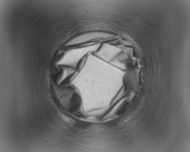 X0000075360489200610061750