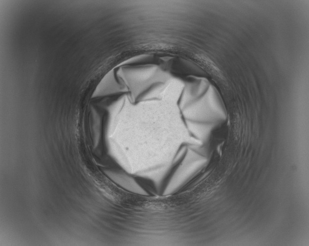 X0000075360490200610061750