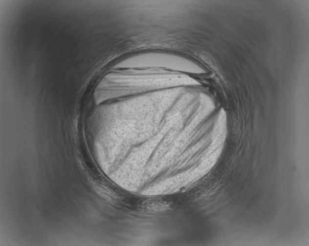 X0000075360491200610061750