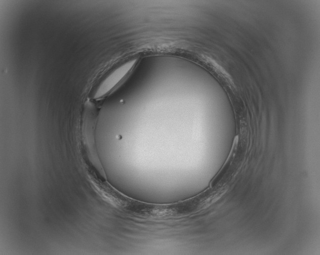 X0000075360493200610061750