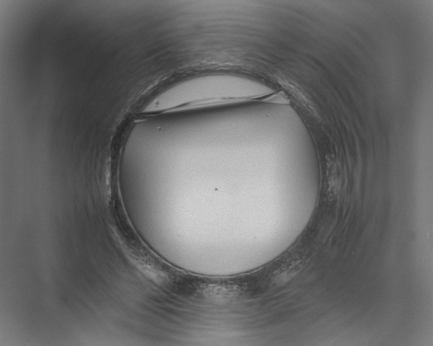 X0000075360494200610061750