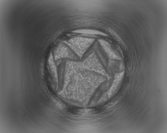 X0000075360497200610061750