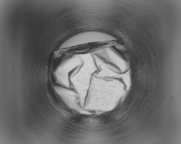 X0000075360498200610061750