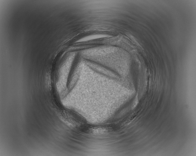 X0000075360500200610061750