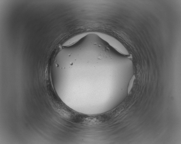 X0000075360502200610061750