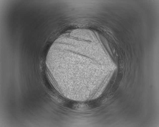 X0000075360503200610061750