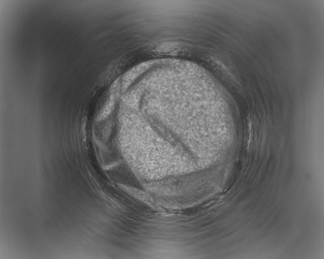 X0000075360504200610061750