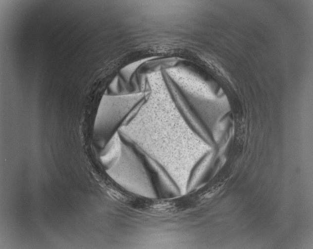 X0000075360505200610061750