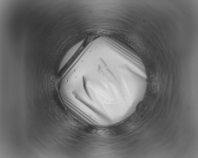 X0000075360506200610061750