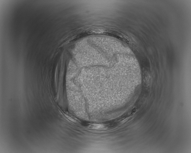 X0000075360507200610061750