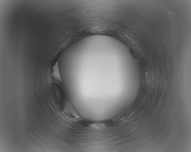 X0000075360508200610061750