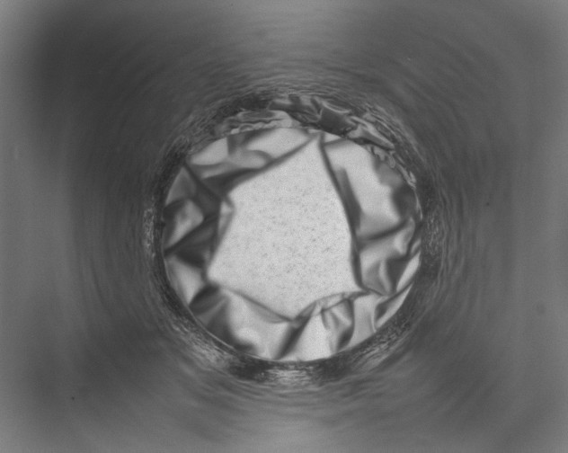 X0000075360509200610061750