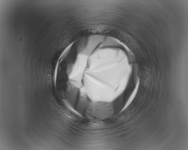 X0000075360510200610061750