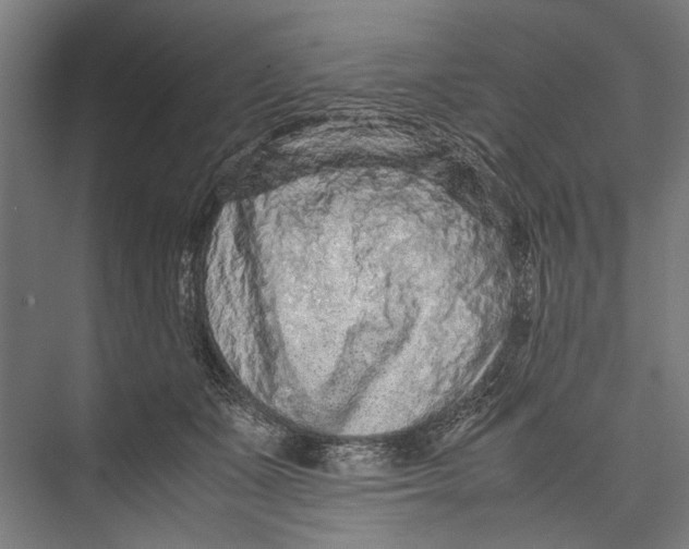 X0000075360511200610061750