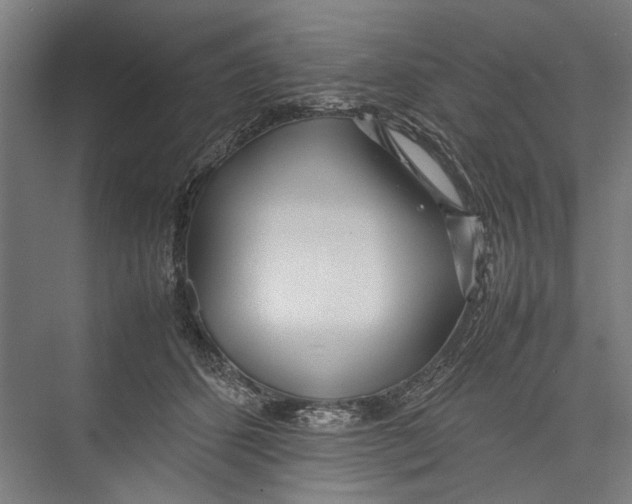 X0000075360512200610061750