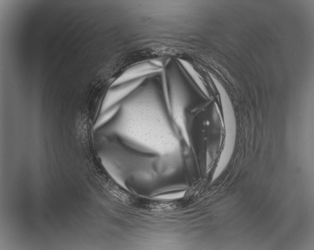 X0000075360513200610061750