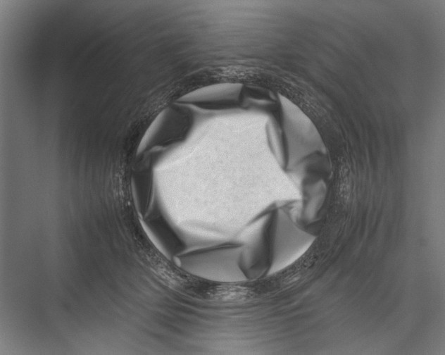 X0000075360514200610061750