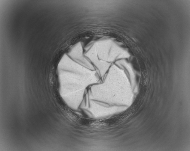 X0000075360515200610061750