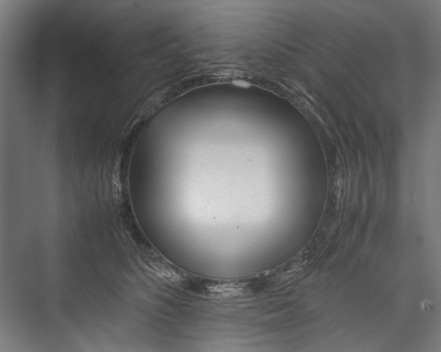 X0000075360516200610061750