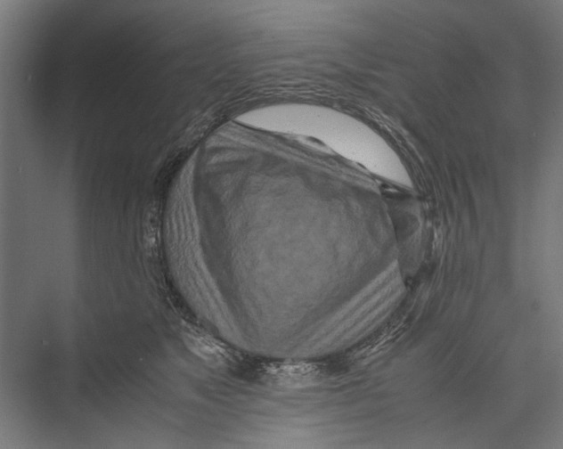 X0000075360517200610061750