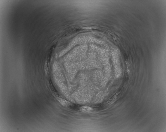 X0000075360519200610061750