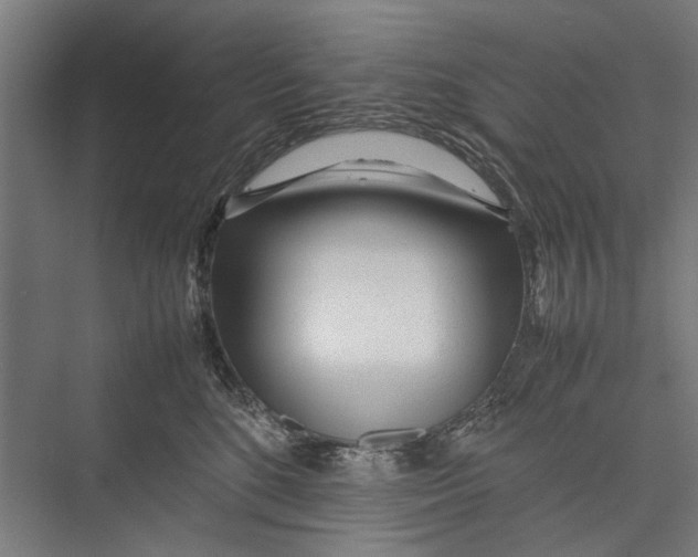 X0000075360520200610061750