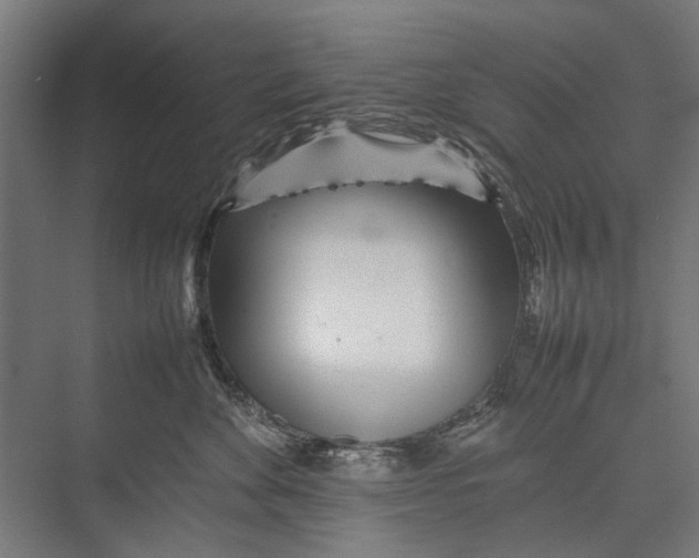 X0000075360524200610061750