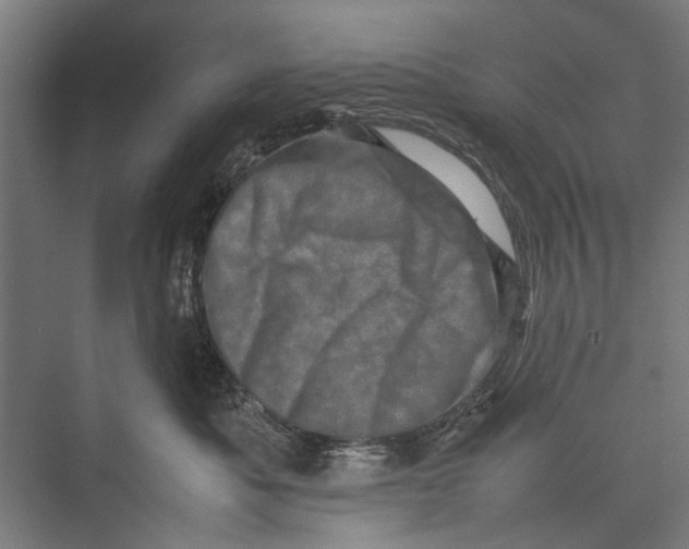 X0000075360525200610061750