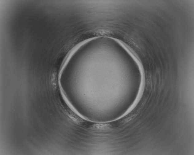 X0000075360526200610061750