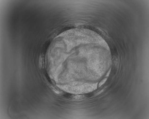 X0000075360527200610061750