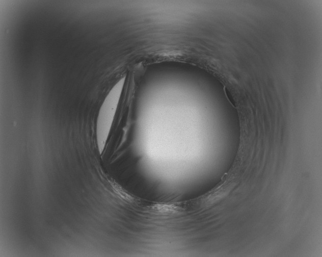 X0000075360528200610061750