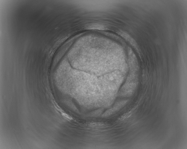 X0000075360529200610061749