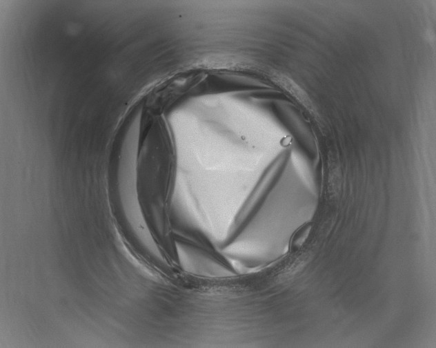 X0000075360530200610061749