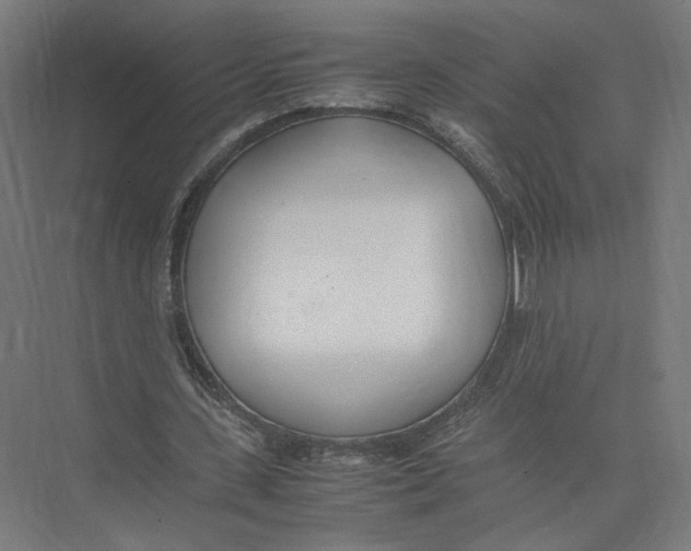 X0000075360531200610061749