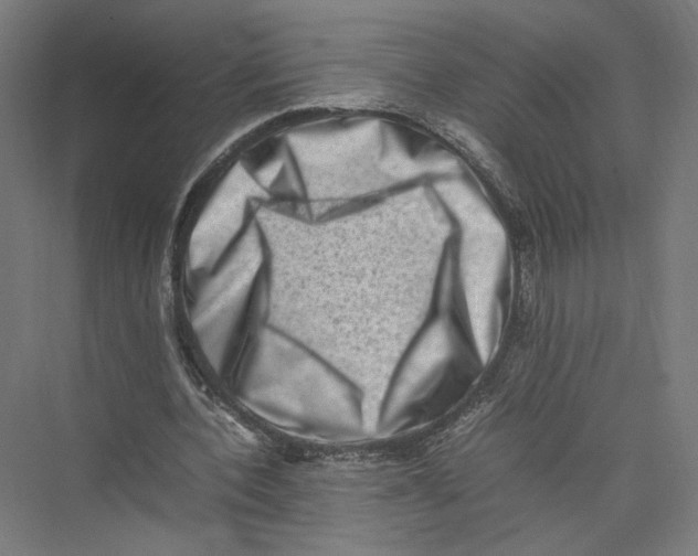 X0000075360532200610061749