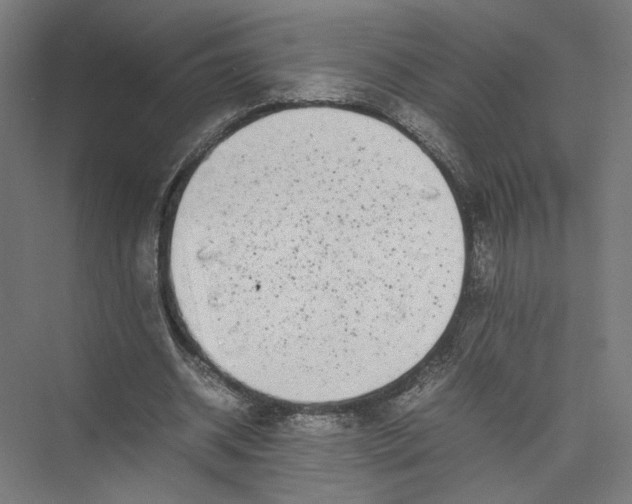 X0000075360534200610061749